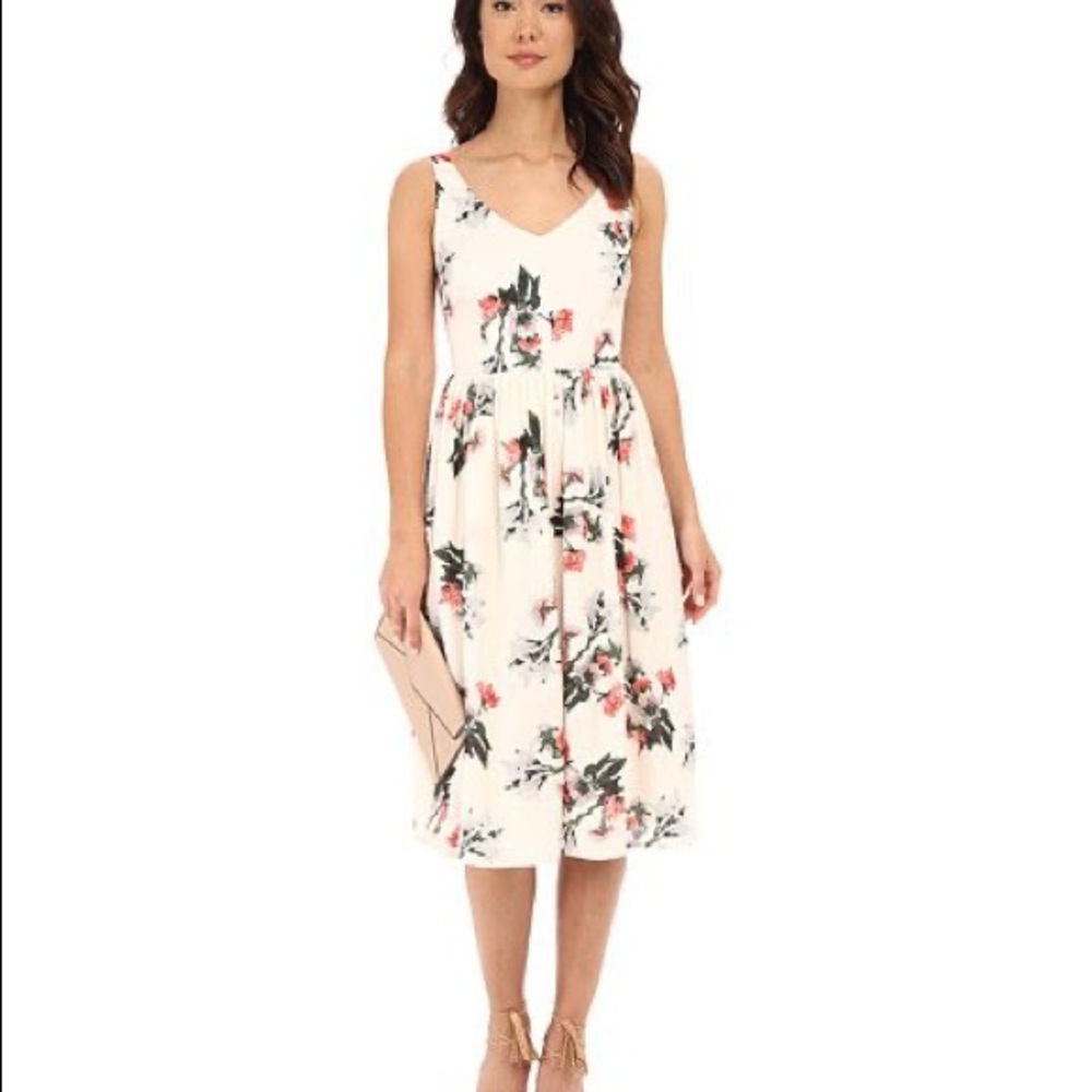 BB Dakota Emeli Rose Garden Floral Midi Dress